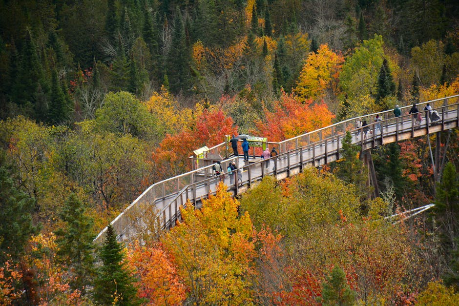 Tourists enjoying a treetop walkway amidst vibrant autumn foliage