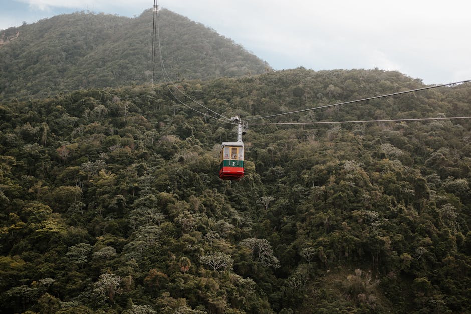 Experience a high-altitude cable car journey above verdant hills and dense wilderness