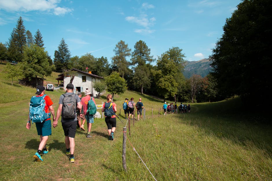 A group of hikers exploring a lush green valley during a sunny day trek